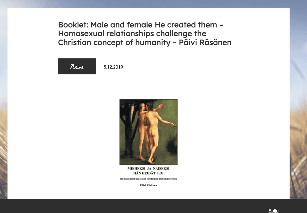 Pamphlet Rasanen Booklet Brochure 20024.png