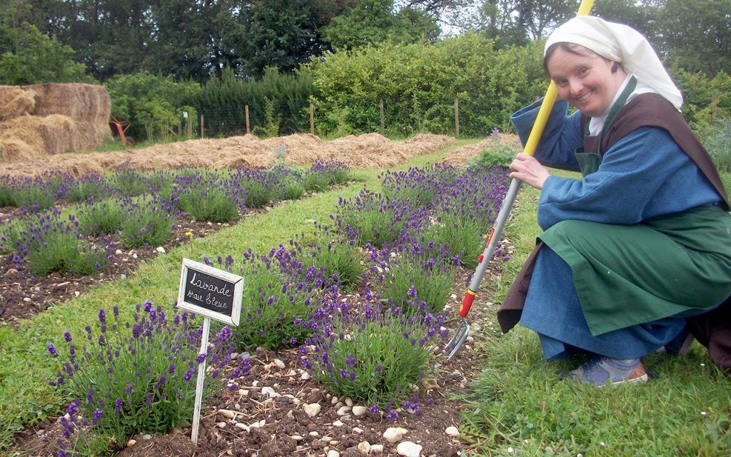 petites-soeurs-disciples-de-l-agneau-jardin-medicinal-1024x640.jpg